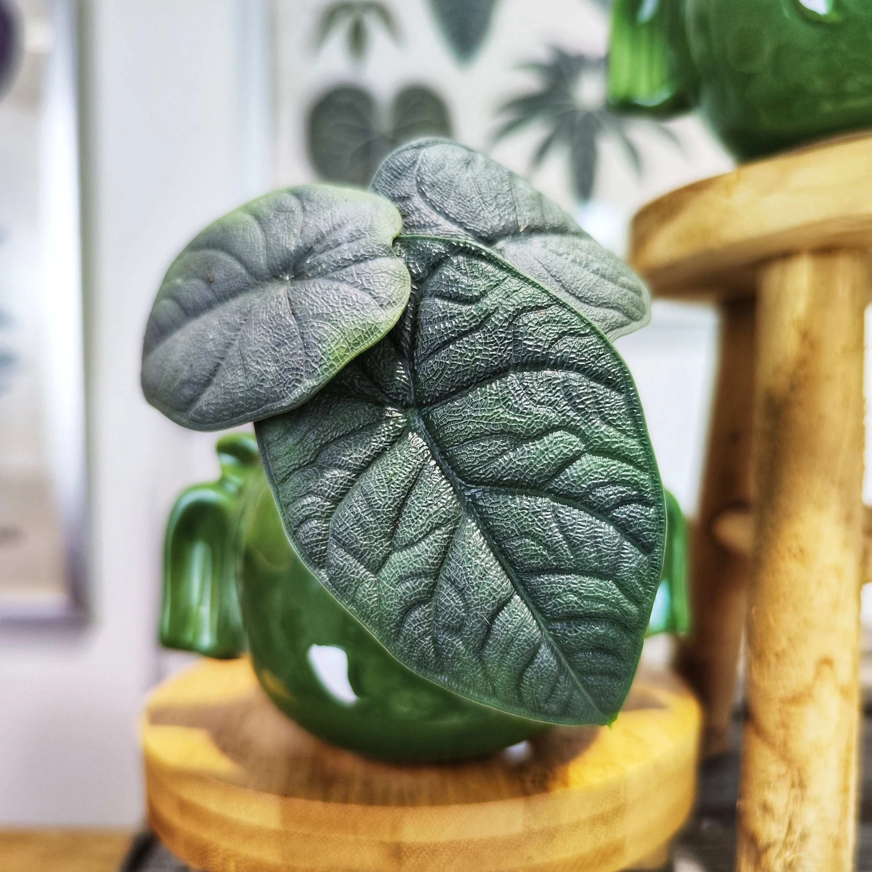 Rhino Skin