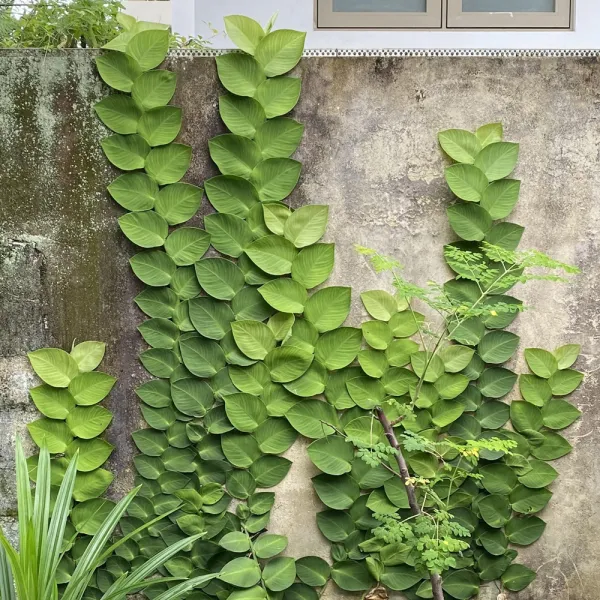 Shingle Plant
