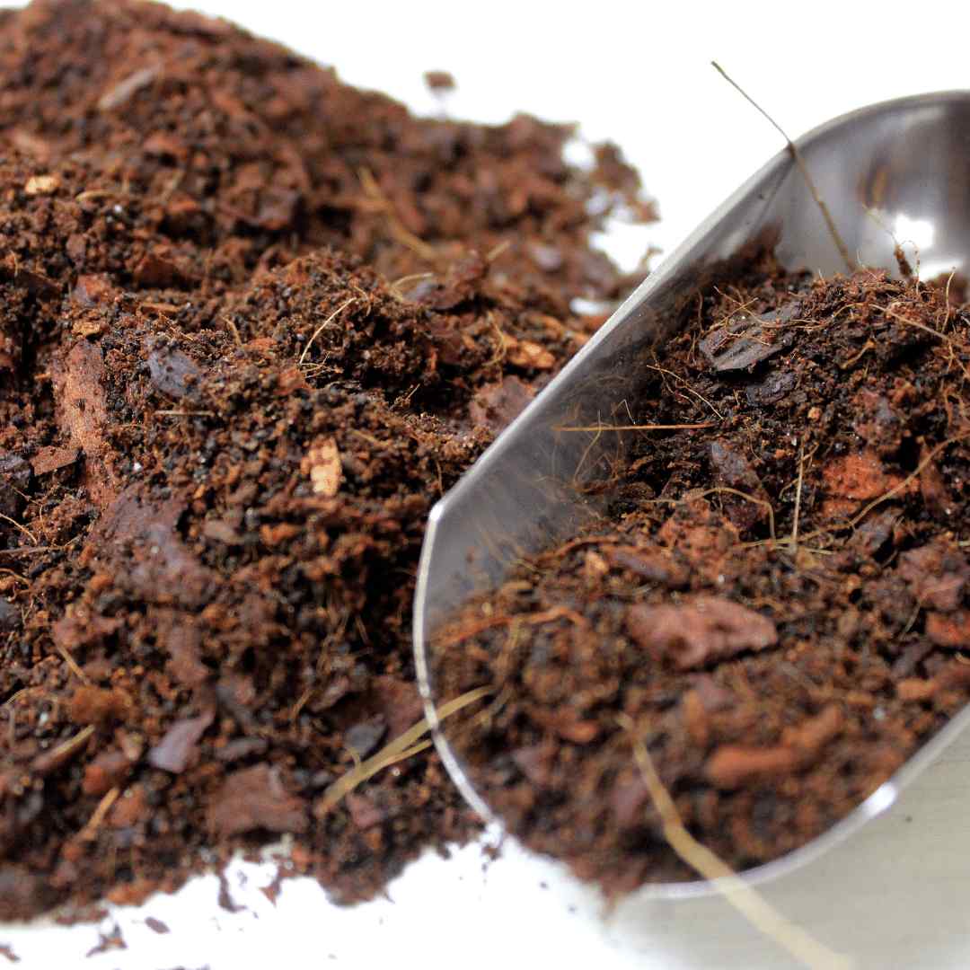 Terrarium Soil Mix