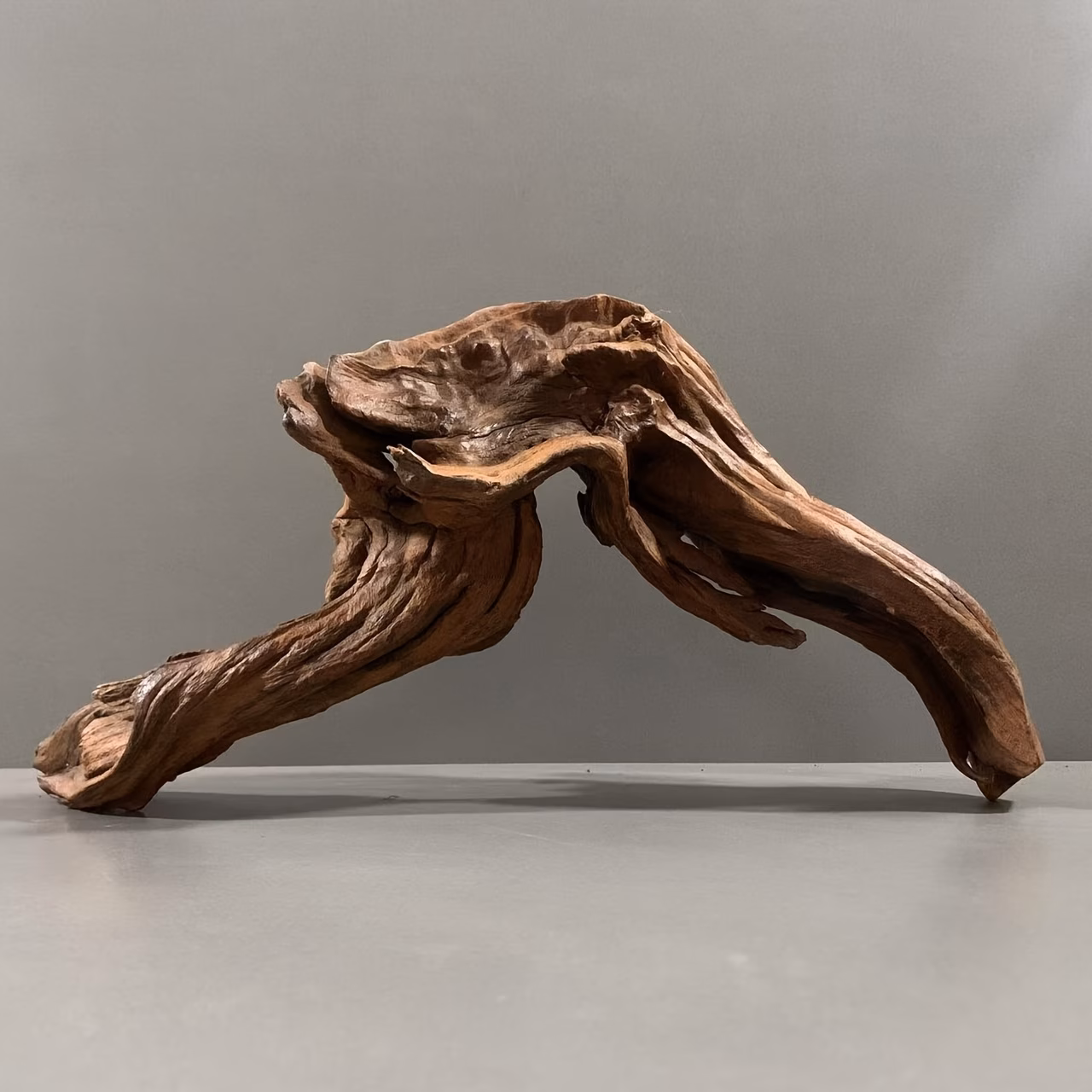 Natural Driftwood – Vivarium & Terrarium Hardscape
