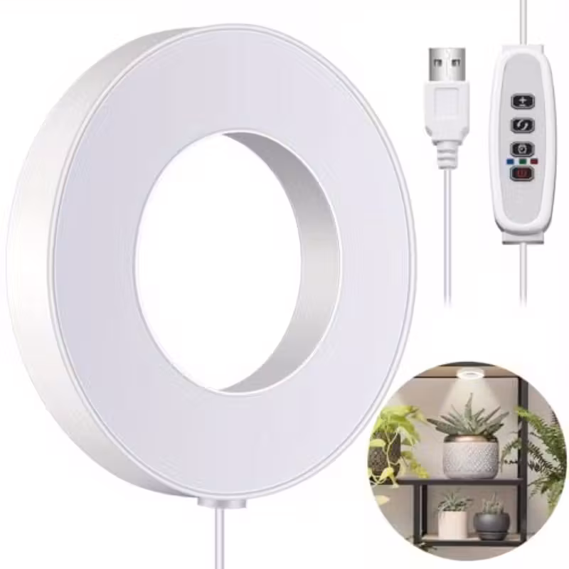 Ring Light