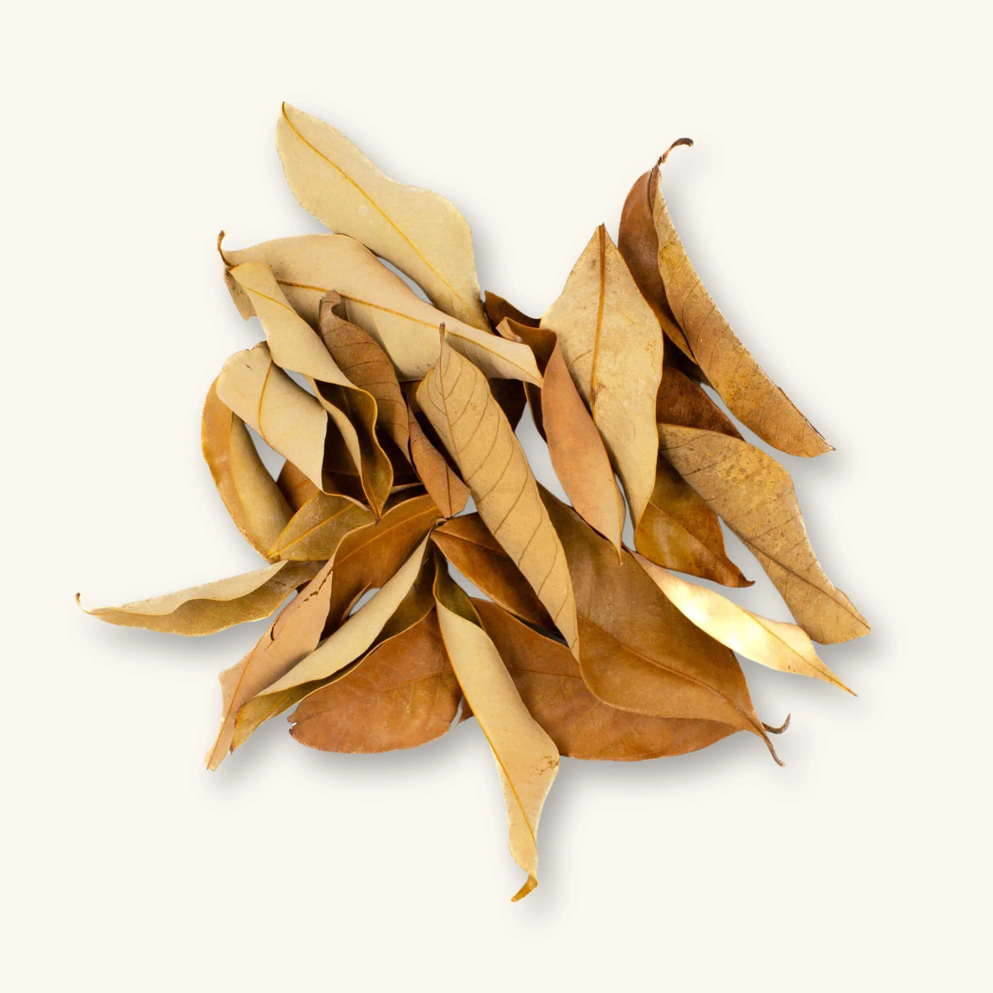 Dried Longan Leaf